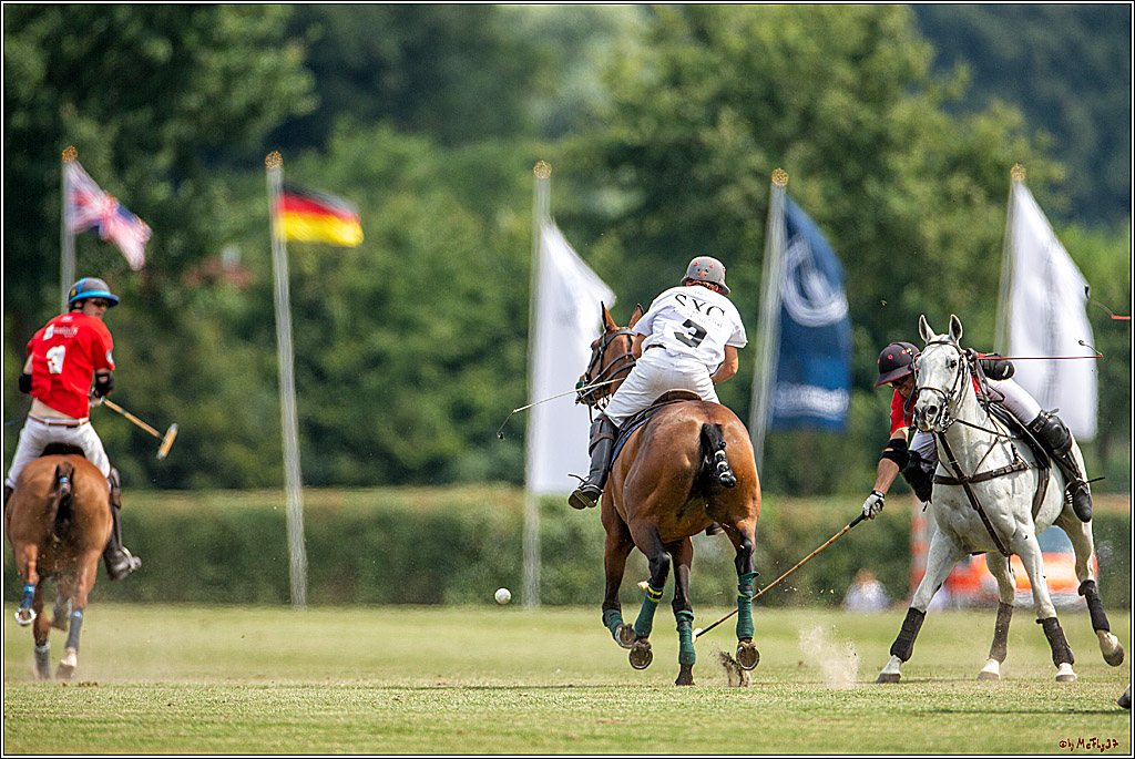 16. Polopicknick, 28.07.2019