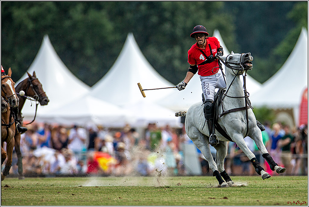 16. Polopicknick, 28.07.2019