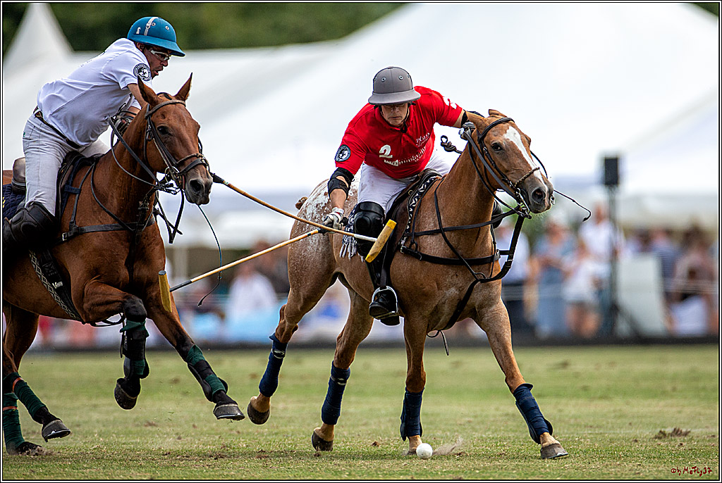 16. Polopicknick, 28.07.2019