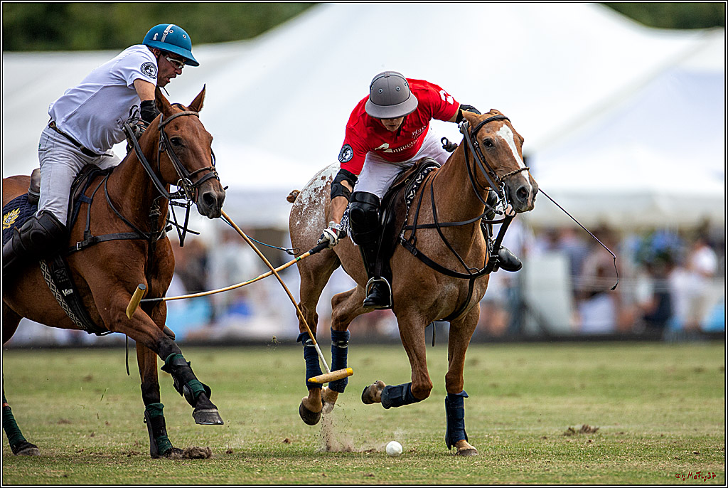 16. Polopicknick, 28.07.2019