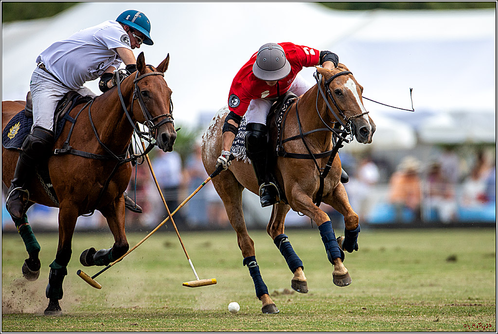 16. Polopicknick, 28.07.2019