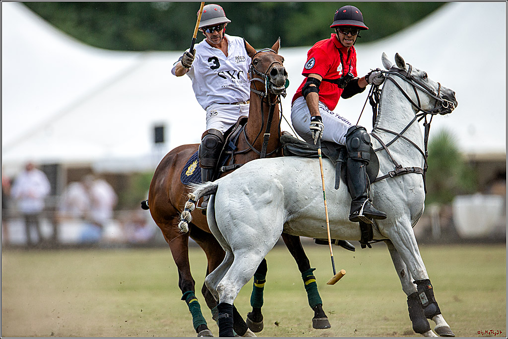 16. Polopicknick, 28.07.2019