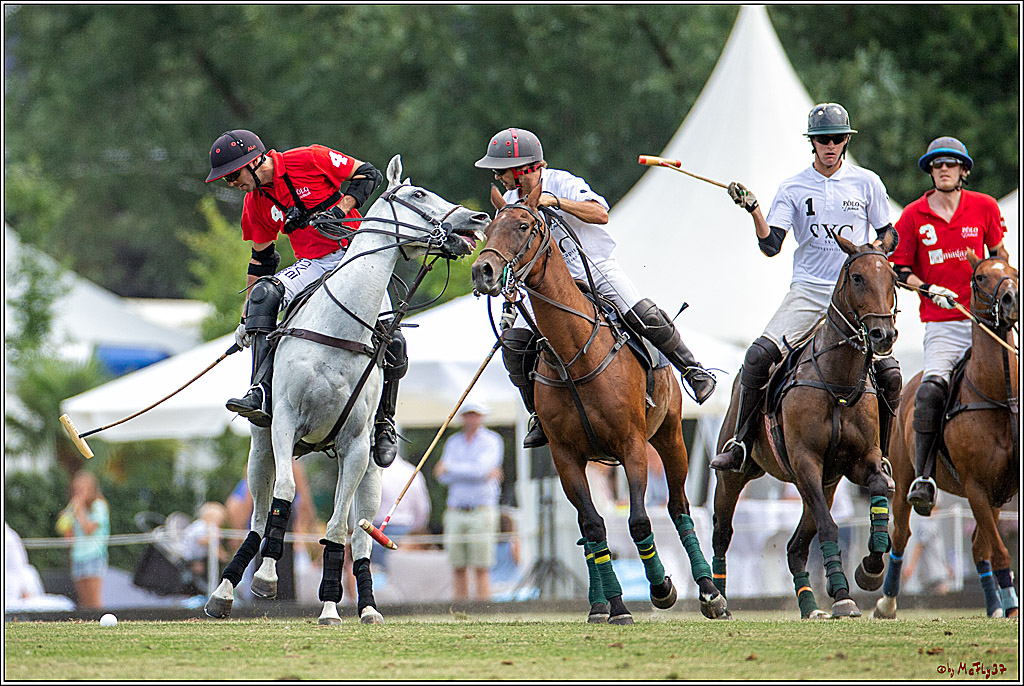 16. Polopicknick, 28.07.2019