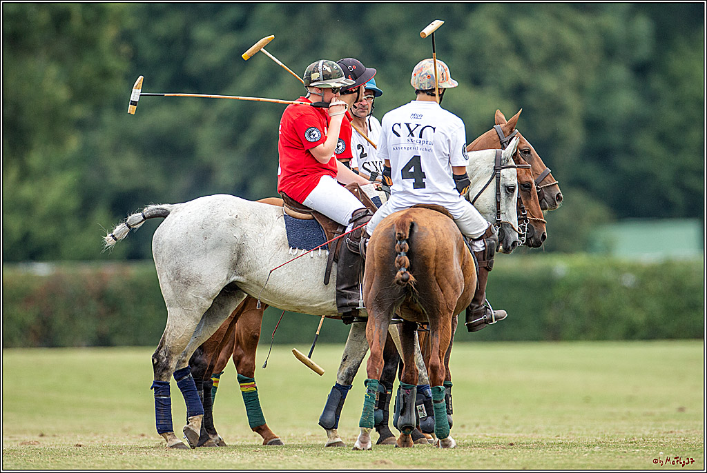 16. Polopicknick, 28.07.2019