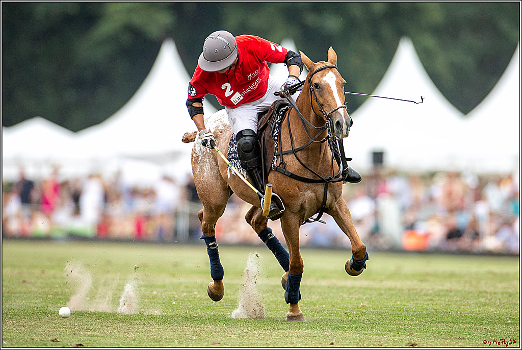 16. Polopicknick, 28.07.2019