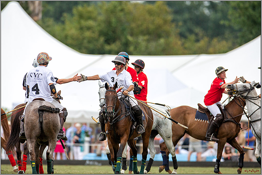 16. Polopicknick, 28.07.2019