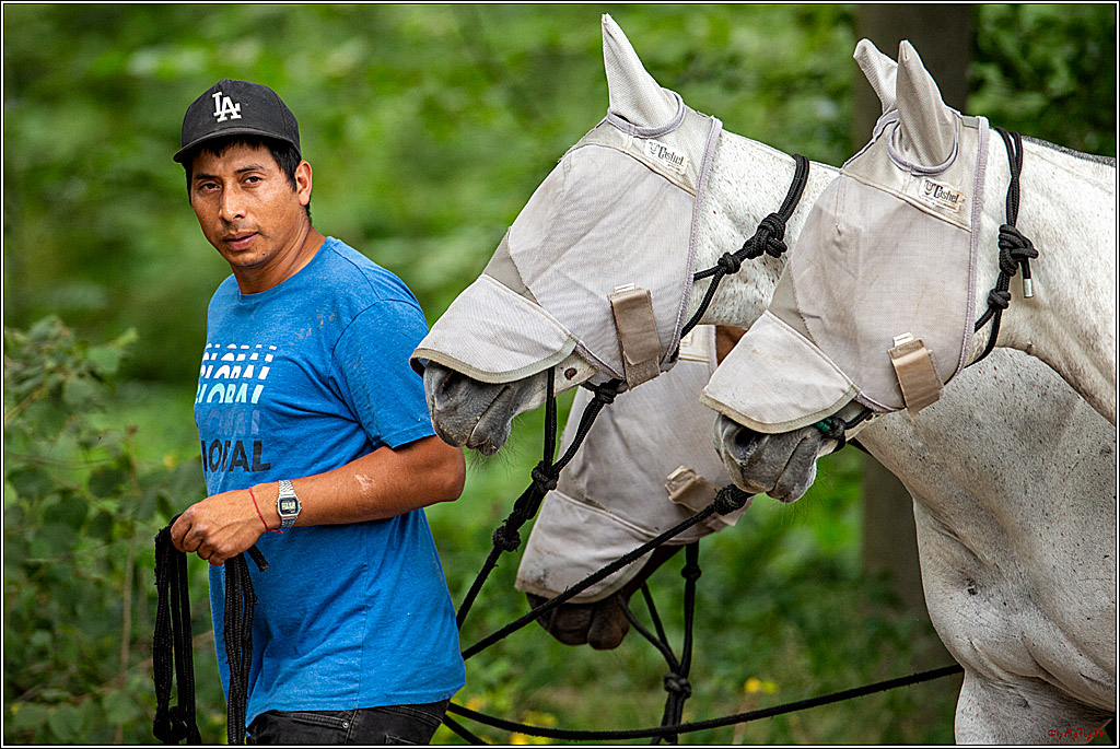 16. Polopicknick, 28.07.2019