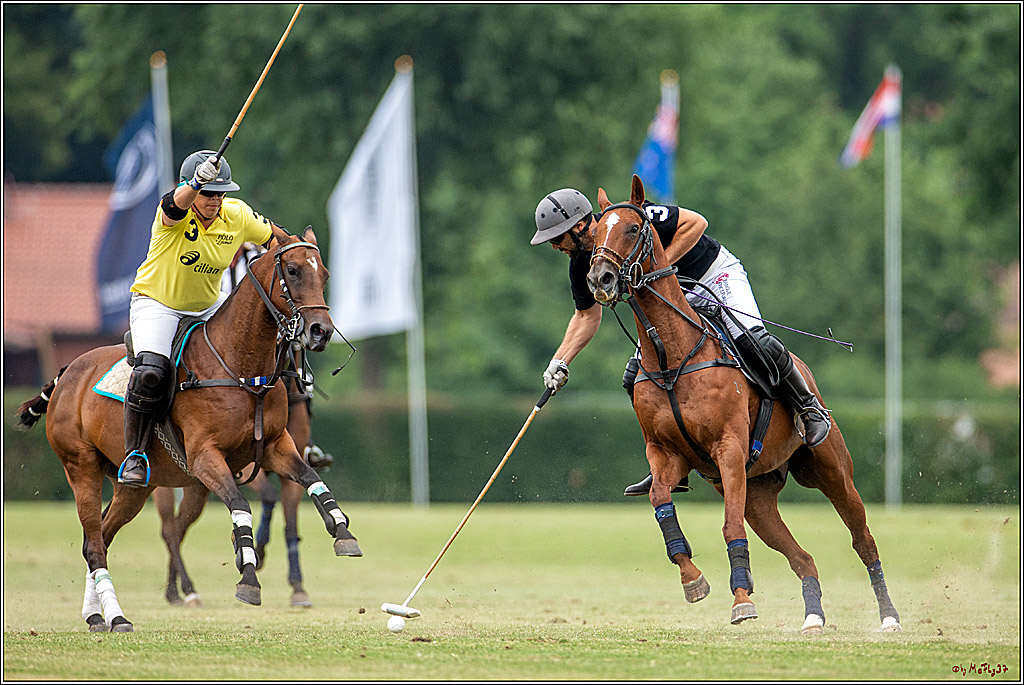 16. Polopicknick, 28.07.2019