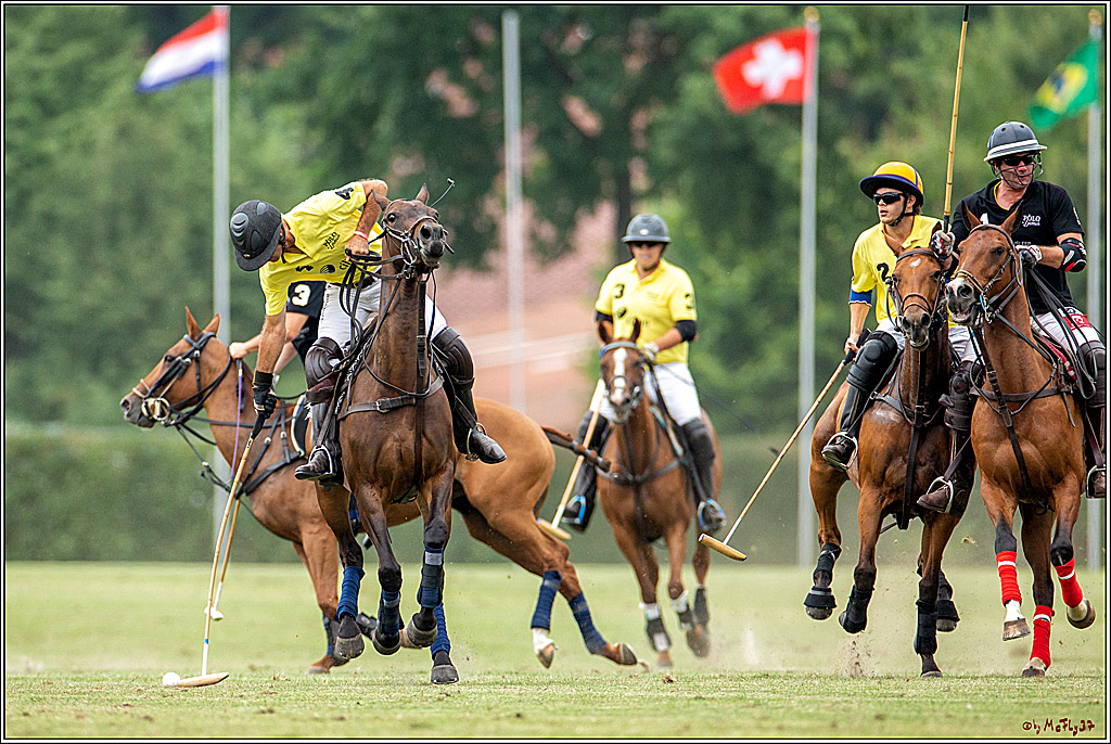 16. Polopicknick, 28.07.2019