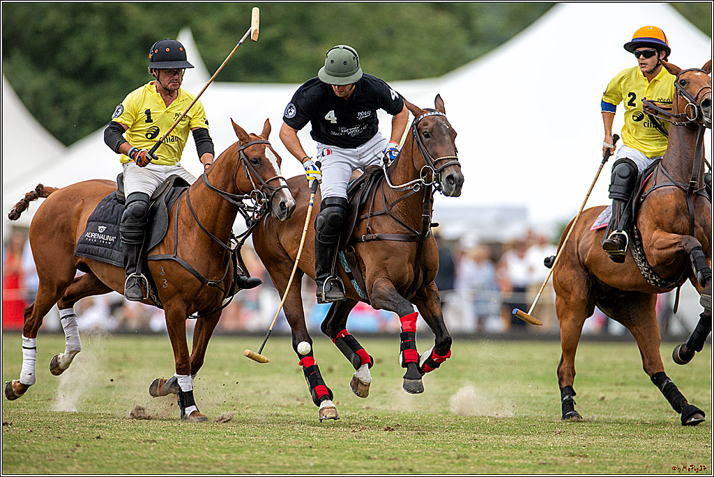 16. Polopicknick, 28.07.2019