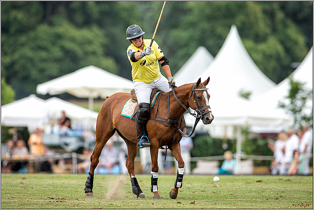 16. Polopicknick, 28.07.2019