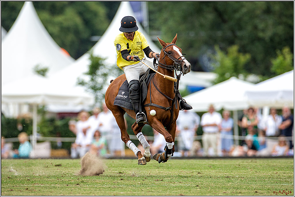 16. Polopicknick, 28.07.2019
