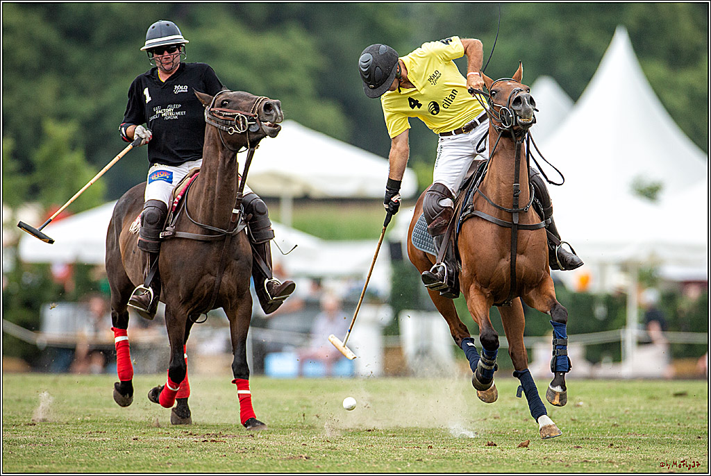 16. Polopicknick, 28.07.2019