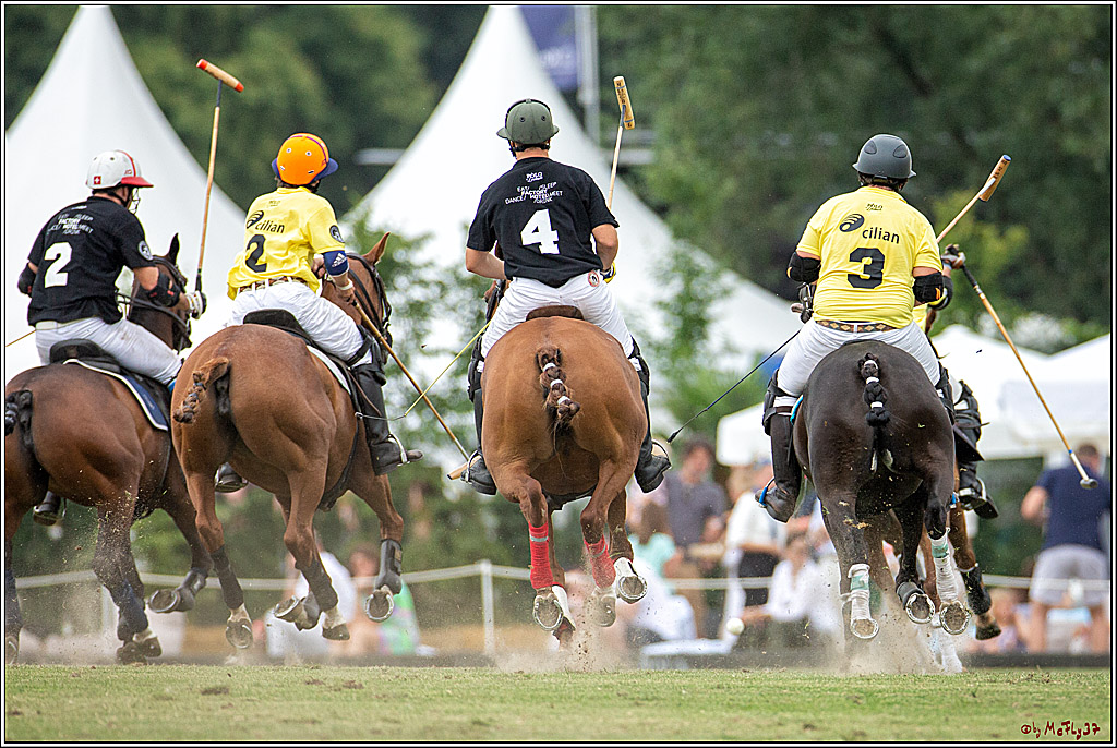 16. Polopicknick, 28.07.2019