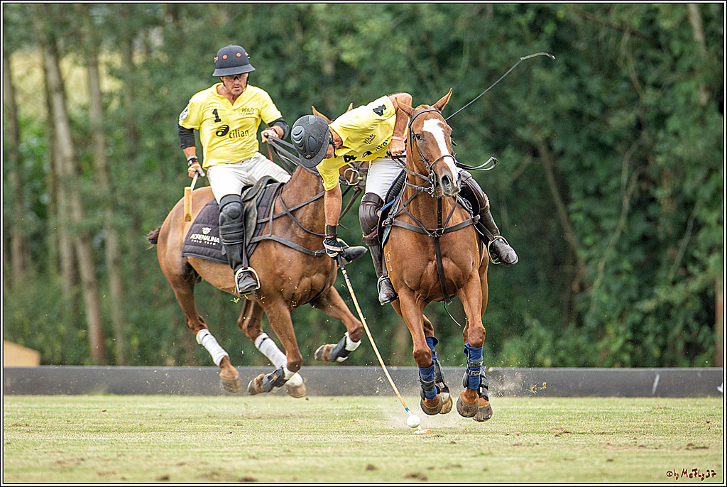 16. Polopicknick, 28.07.2019