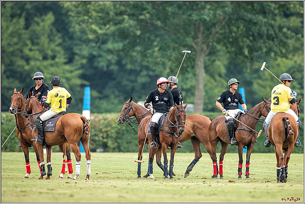 16. Polopicknick, 28.07.2019