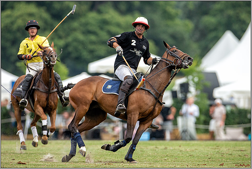 16. Polopicknick, 28.07.2019