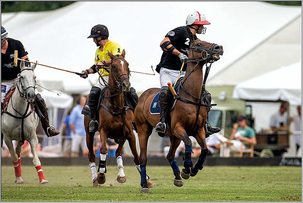 16. Polopicknick, 28.07.2019