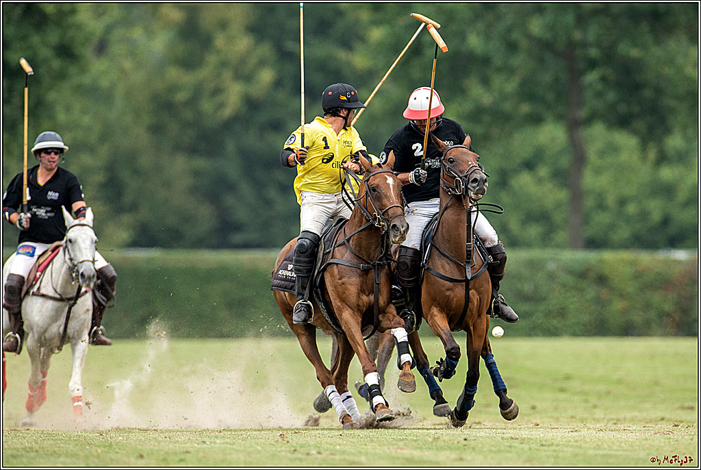 16. Polopicknick, 28.07.2019