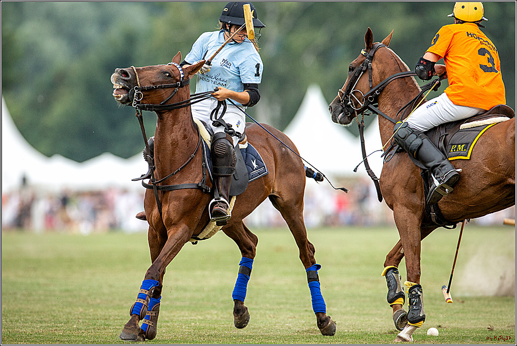16. Polopicknick, 28.07.2019