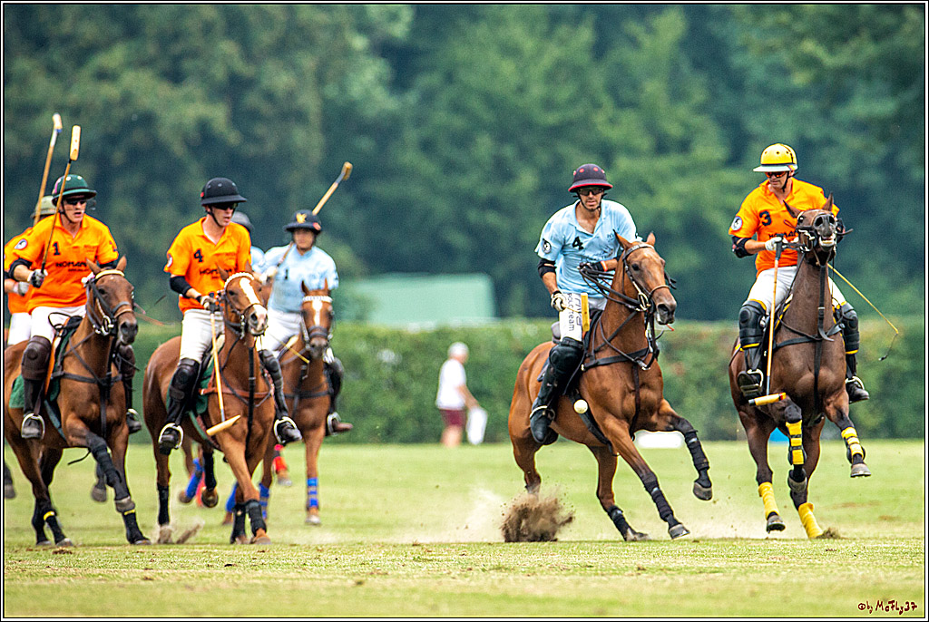 16. Polopicknick, 28.07.2019