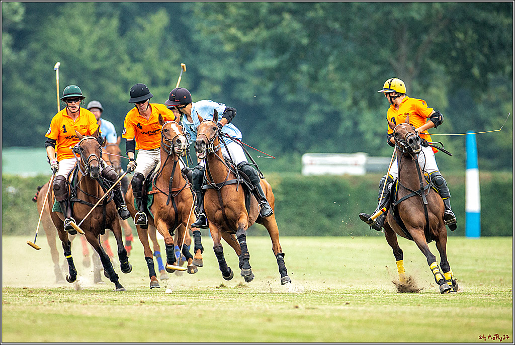 16. Polopicknick, 28.07.2019