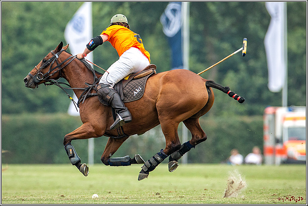 16. Polopicknick, 28.07.2019