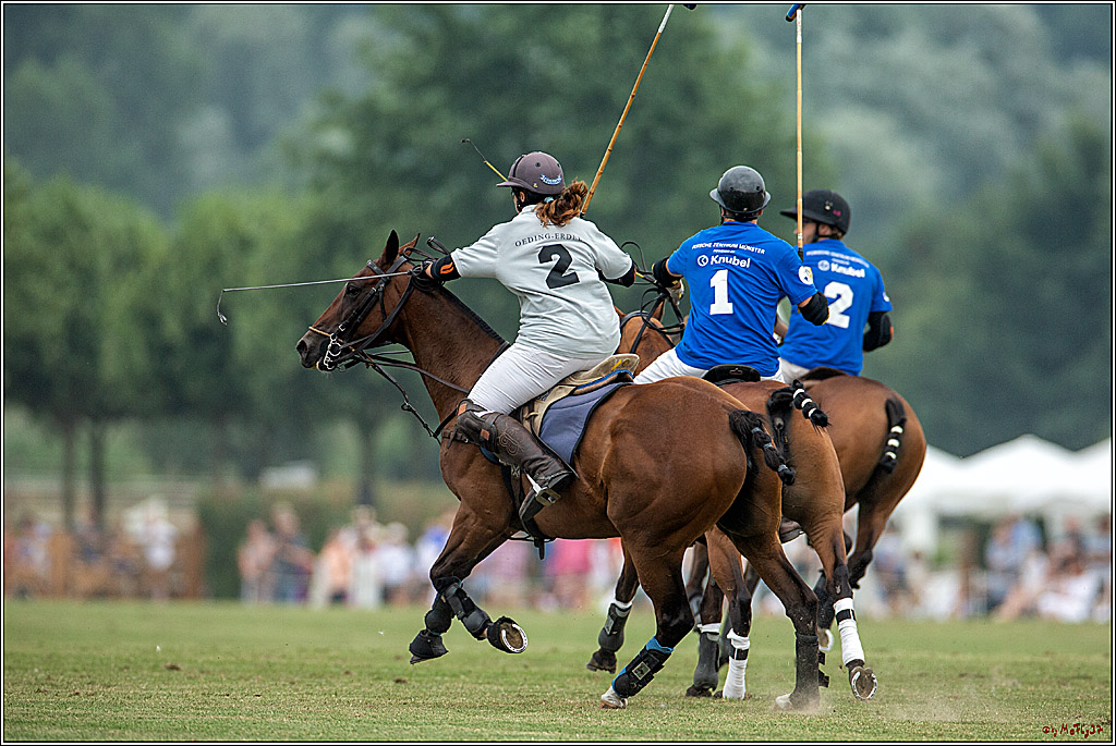 16. Polopicknick, 28.07.2019