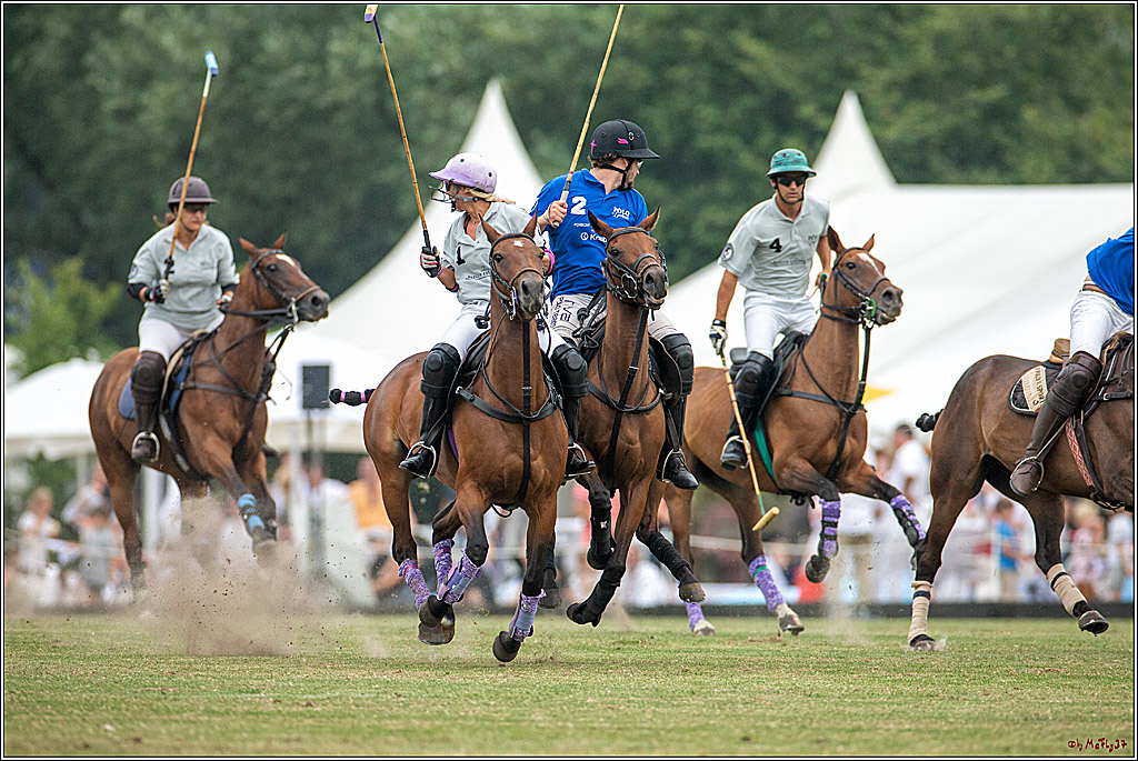 16. Polopicknick, 28.07.2019