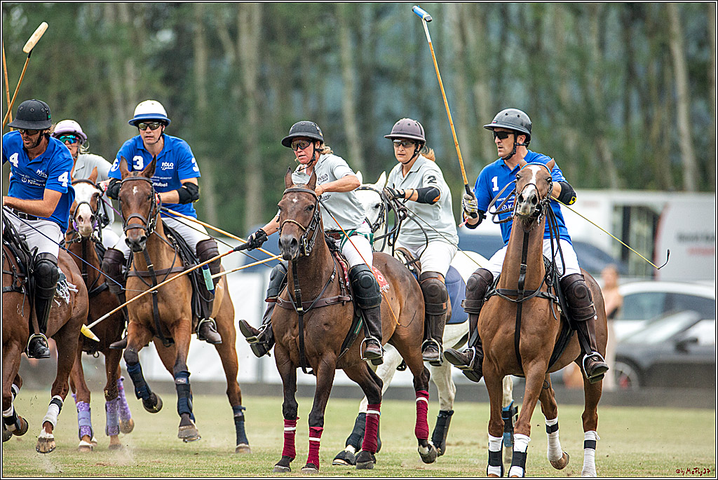 16. Polopicknick, 28.07.2019