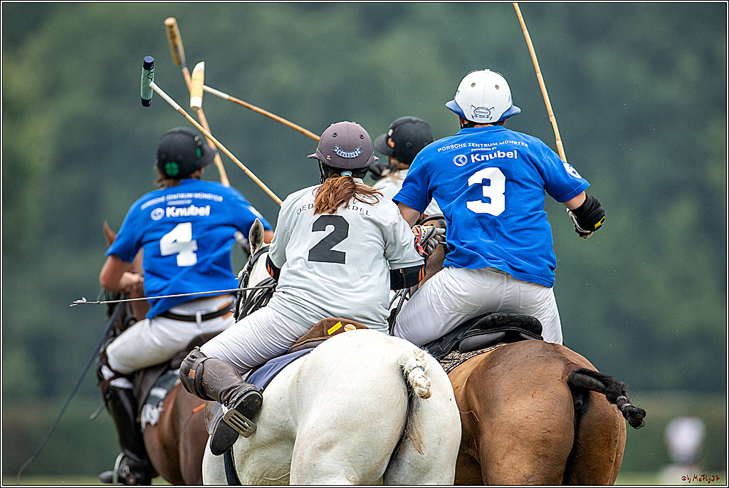 16. Polopicknick, 28.07.2019