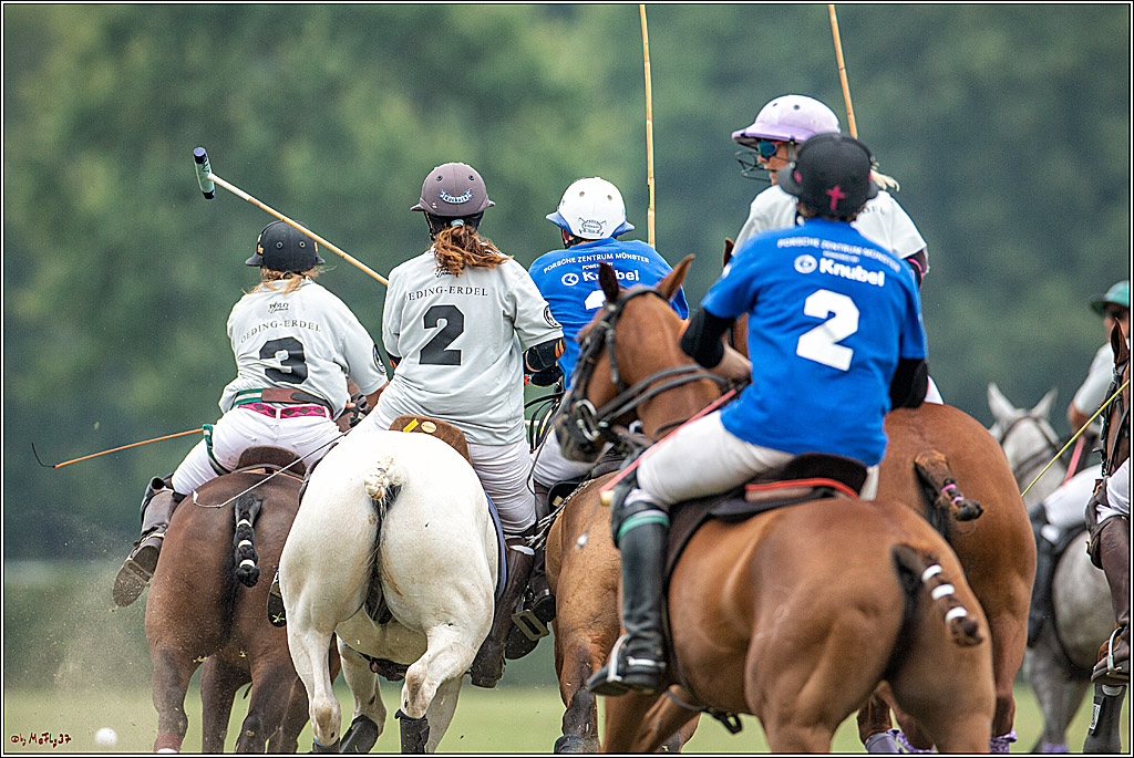 16. Polopicknick, 28.07.2019