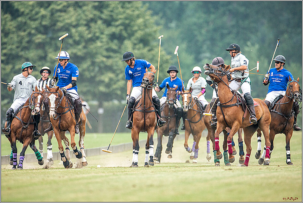 16. Polopicknick, 28.07.2019