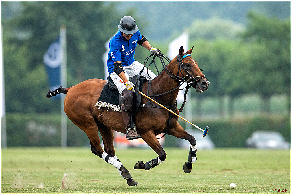 16. Polopicknick, 28.07.2019