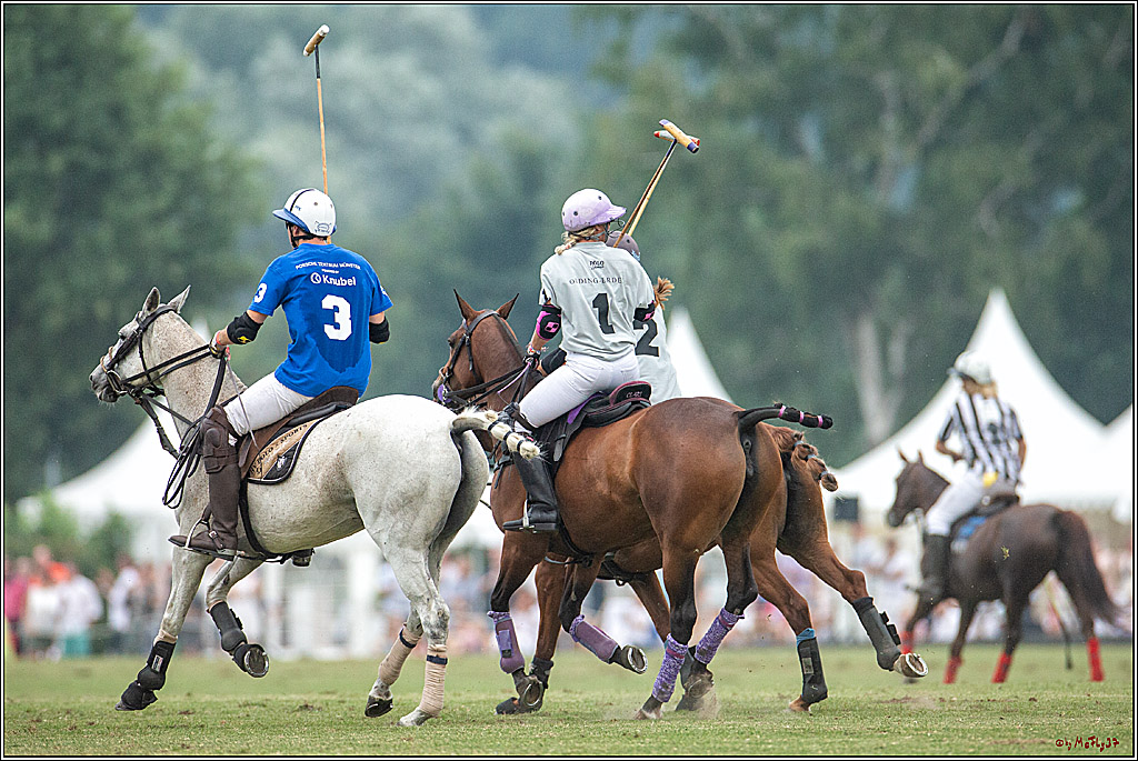 16. Polopicknick, 28.07.2019