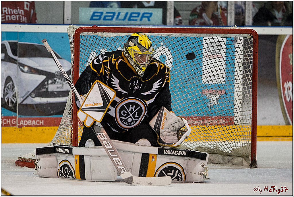 Koeln Cup 2017, Koelner Haie - HC Lugano, 20.08.2017