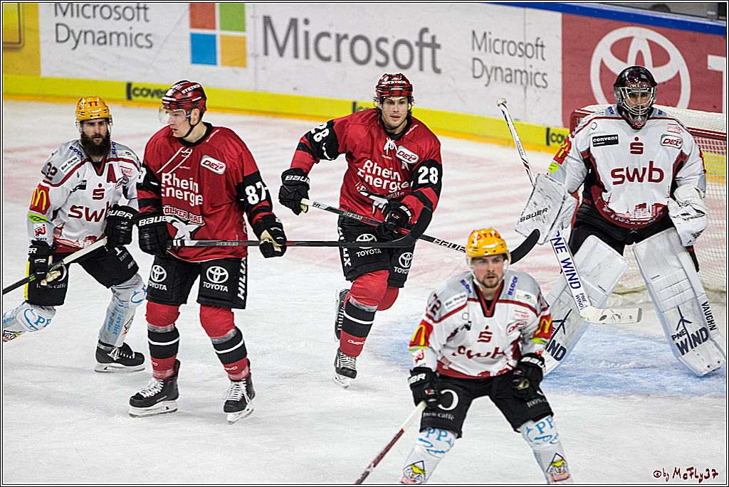 DEL, Koelner Haie - Fishtown Pinguins Bremerhaven, 08.09.2017