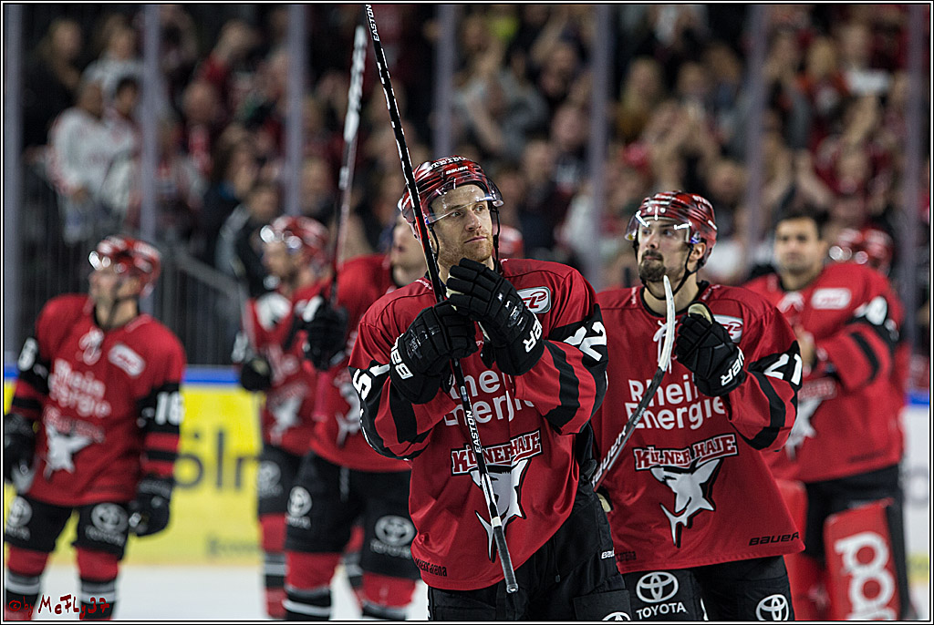 DEL, Koelner Haie - Fishtown Pinguins Bremerhaven, 08.09.2017