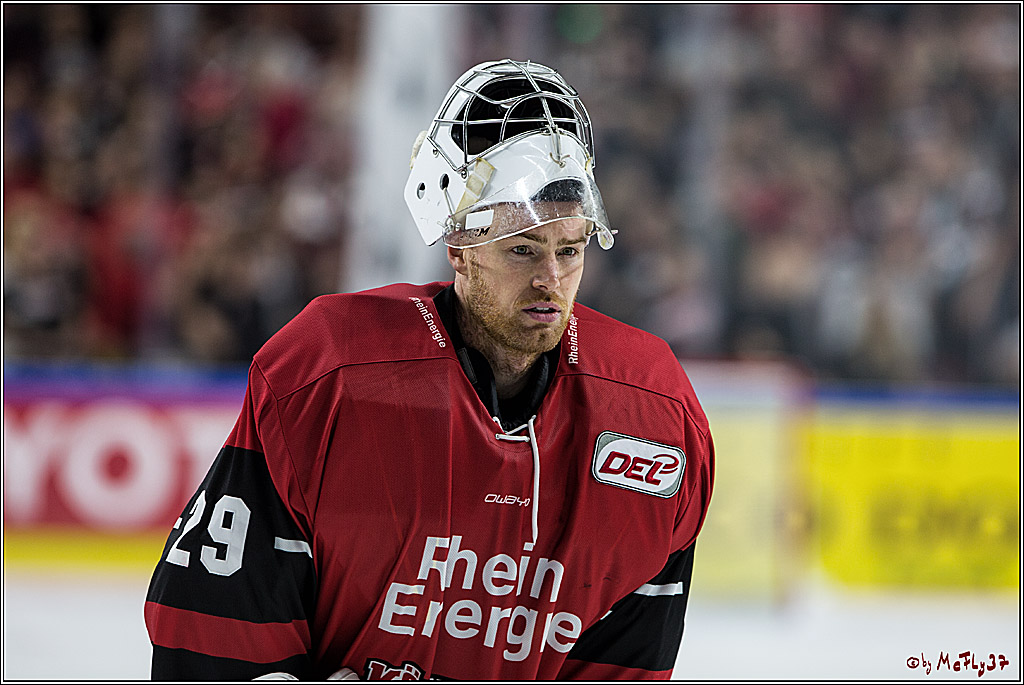 DEL, Koelner Haie - Fishtown Pinguins Bremerhaven, 08.09.2017