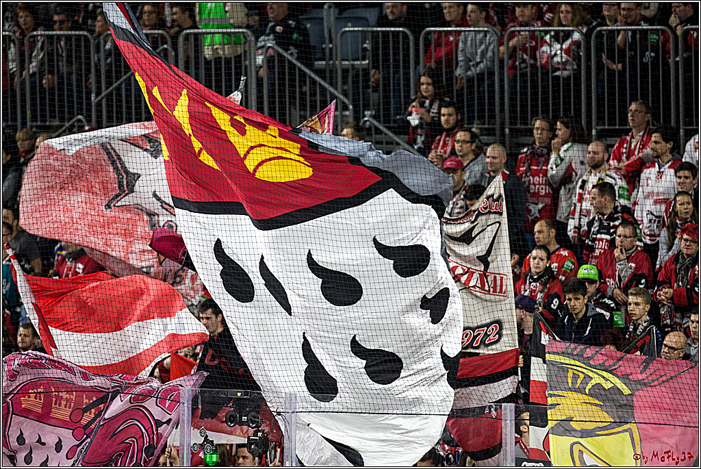 DEL, Koelner Haie - Adler Mannheim, 29.10.2017
