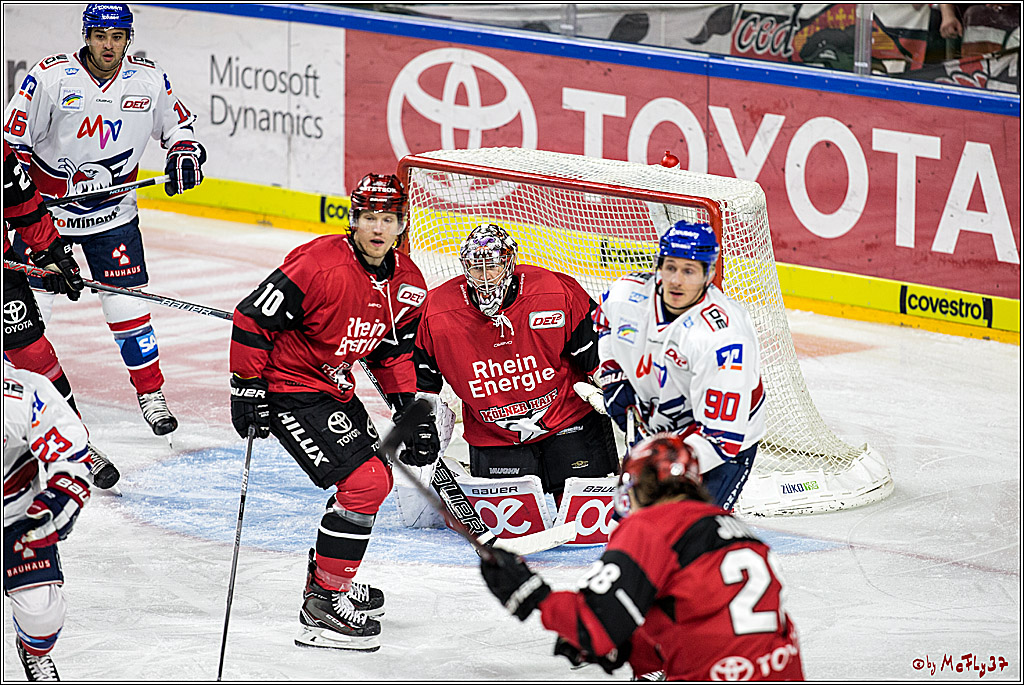 DEL, Koelner Haie - Adler Mannheim, 29.10.2017