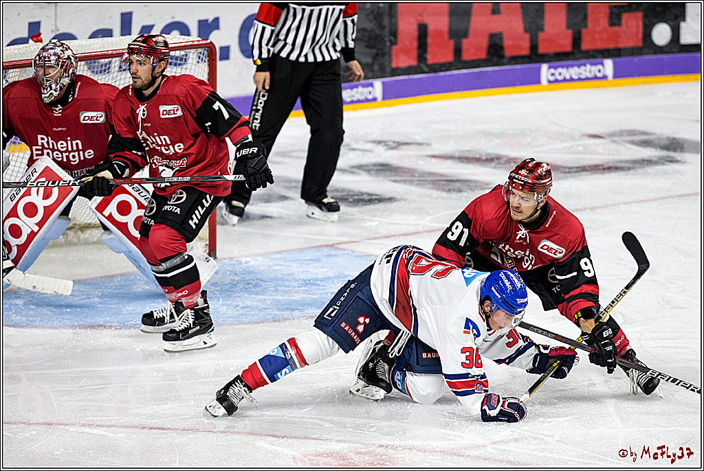 DEL, Koelner Haie - Adler Mannheim, 29.10.2017
