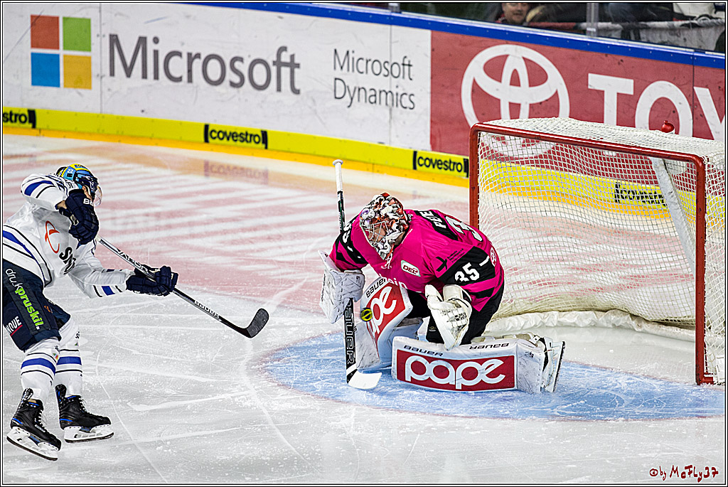 DEL, Koelner Haie - ERC Ingolstadt, 31.10.2017