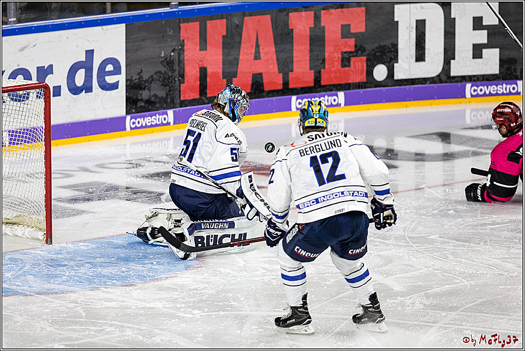 DEL, Koelner Haie - ERC Ingolstadt, 31.10.2017
