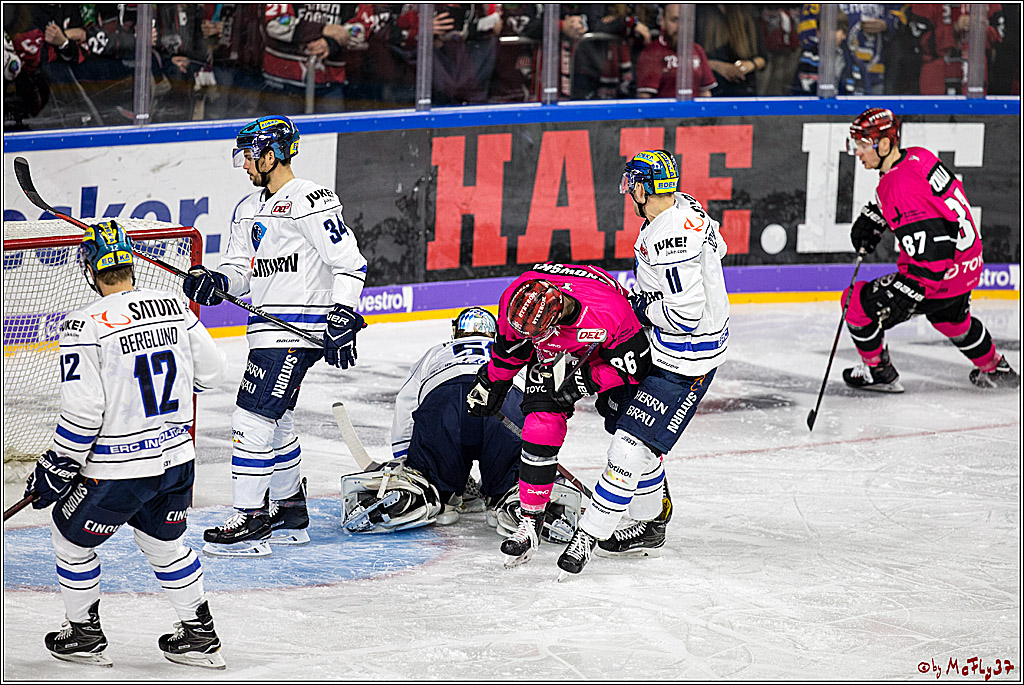 DEL, Koelner Haie - ERC Ingolstadt, 31.10.2017