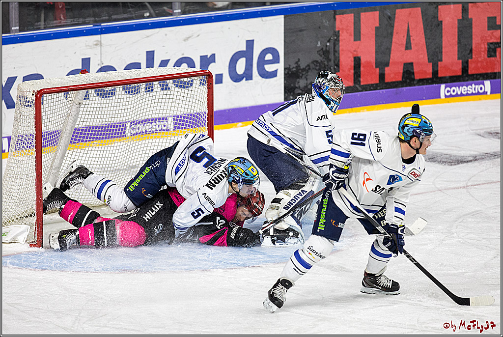 DEL, Koelner Haie - ERC Ingolstadt, 31.10.2017