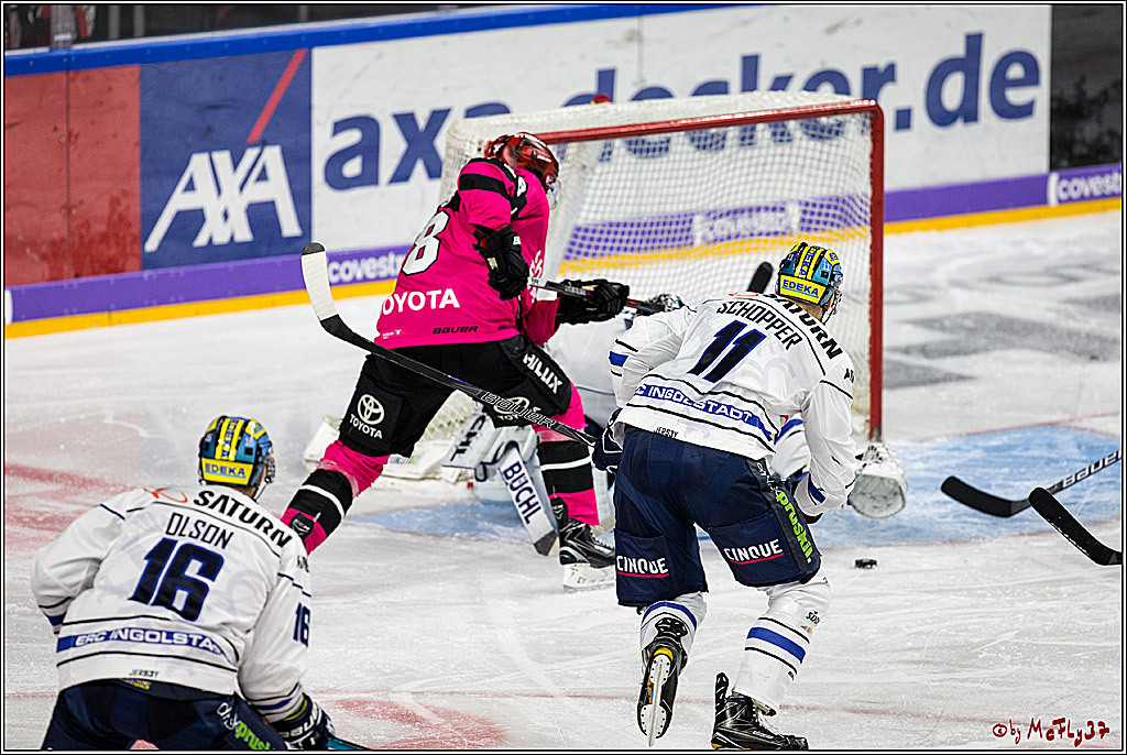 DEL, Koelner Haie - ERC Ingolstadt, 31.10.2017