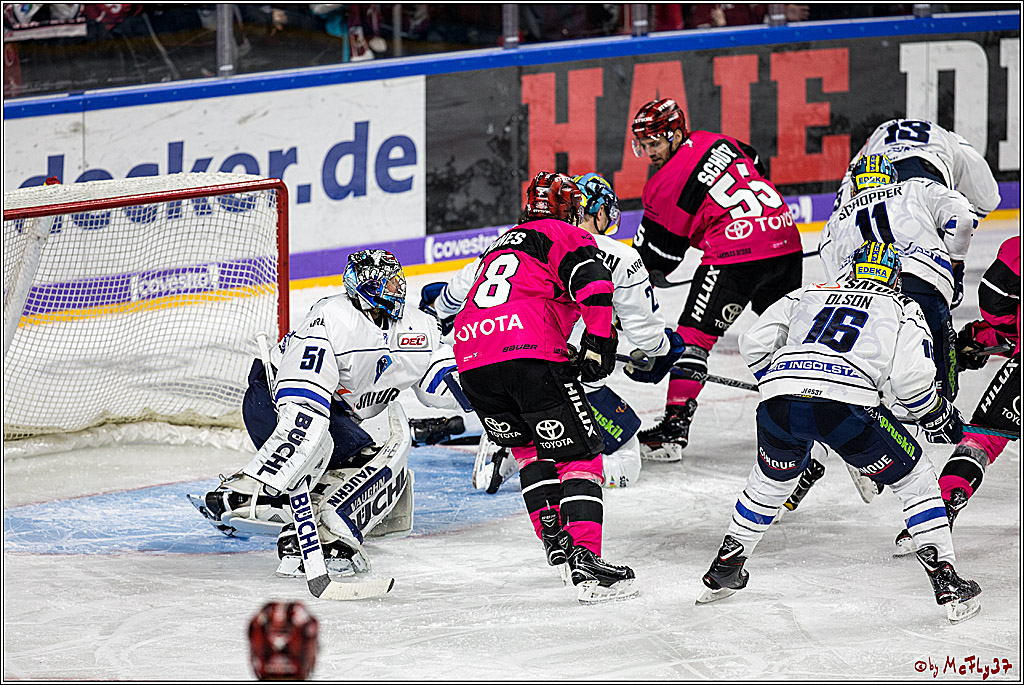 DEL, Koelner Haie - ERC Ingolstadt, 31.10.2017