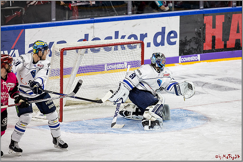 DEL, Koelner Haie - ERC Ingolstadt, 31.10.2017