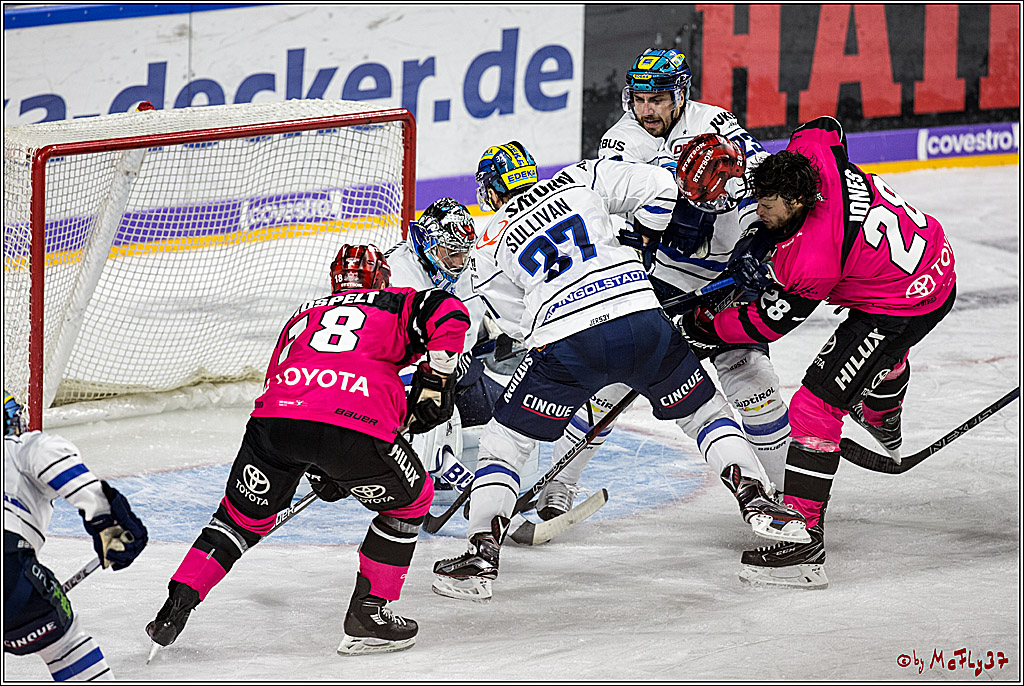 DEL, Koelner Haie - ERC Ingolstadt, 31.10.2017